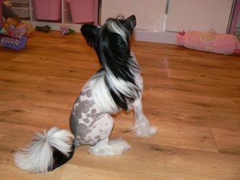 Abbie Bezedna propast