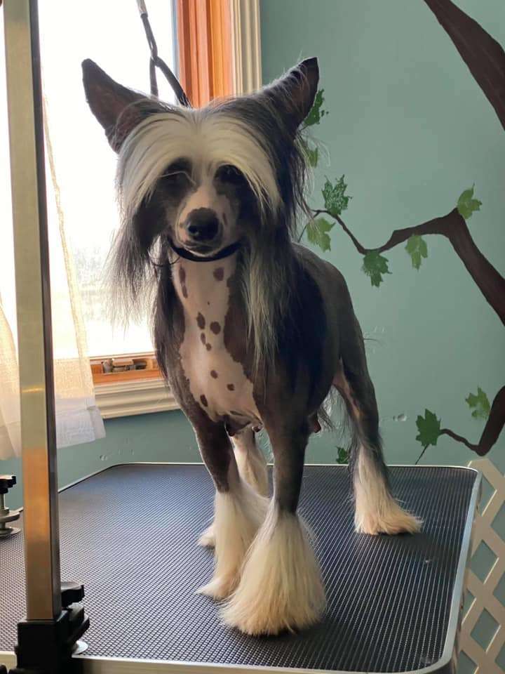 Sofiris Show Endless Charm