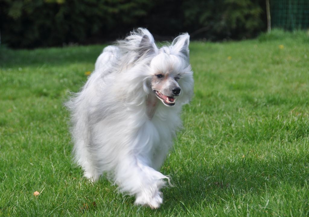 Good morning Little Champs