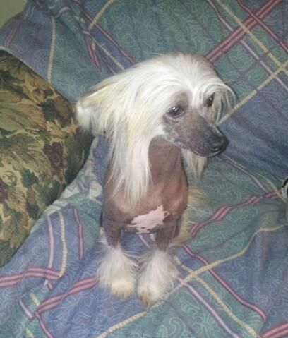 faerylands girls just wanna have fun