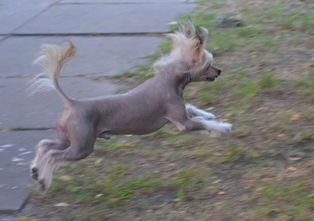 Magic of Success Georg