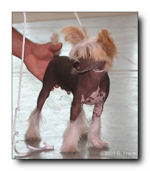 Family Song's Ambiente