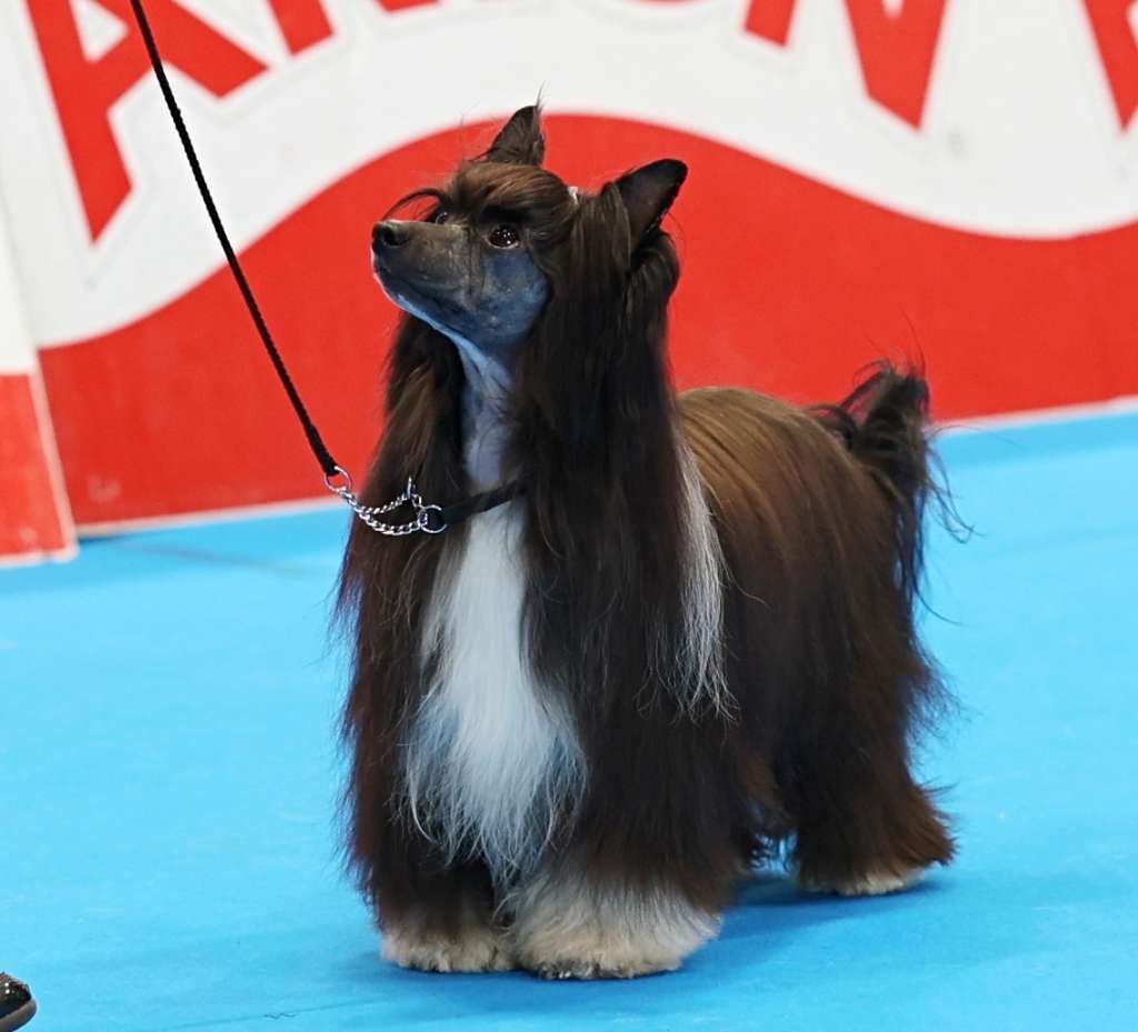 Kidsolarus Heavenly Beautiful