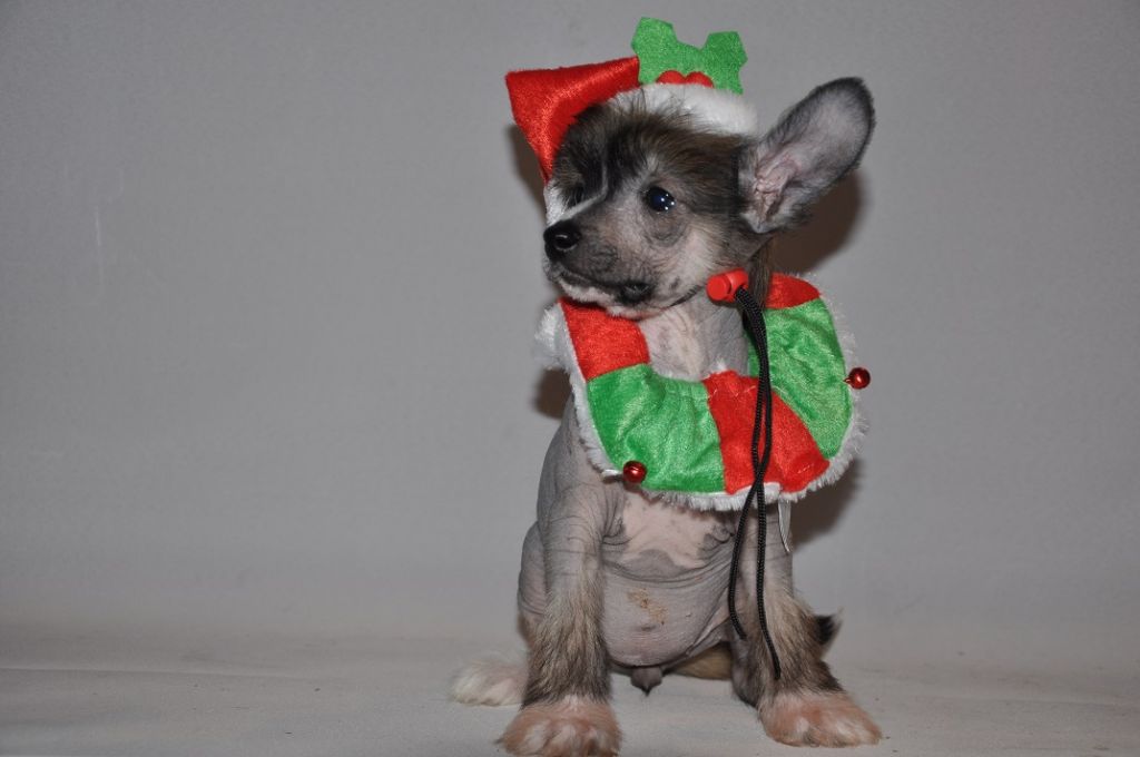 Bahiya Makes Of Magic