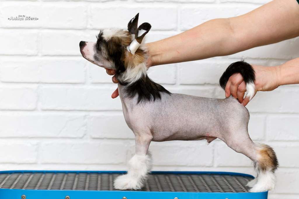 Sol'tanto One For You