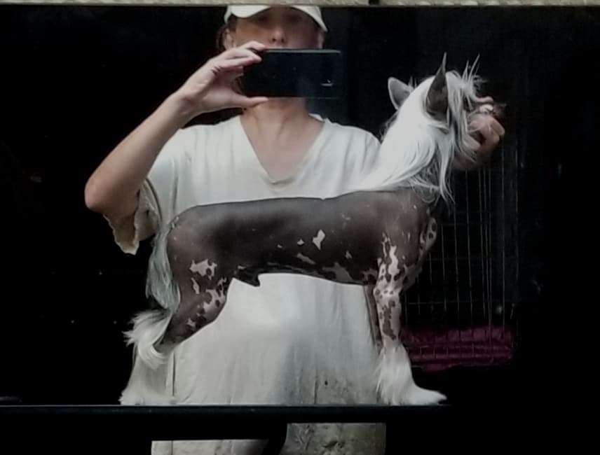 Sun Dan Dream Come True at Tri-Lovin