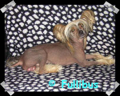 Enter To Mictlan Örjan