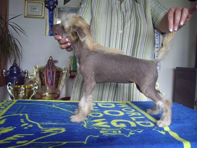 Walking in Memphis de GabriTho