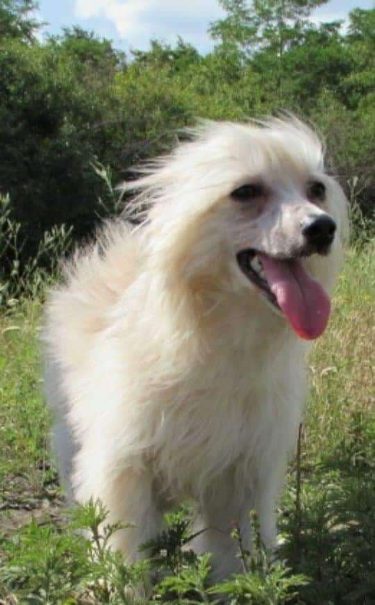 Beauty Incomparable Viva La Vita