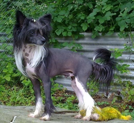 Next Winner Fantasy Island