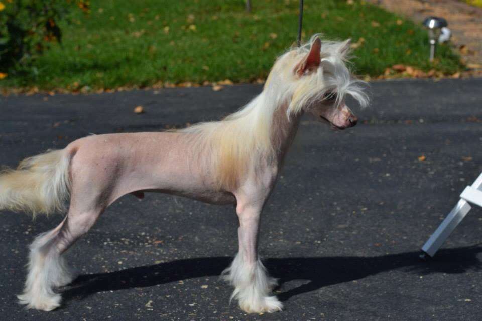 Famous I'm Smart with the Girls