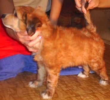 Avgust from Khakasia