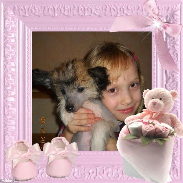 Picture