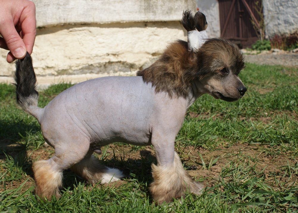 Ethan Du Coeur Des Tenebres