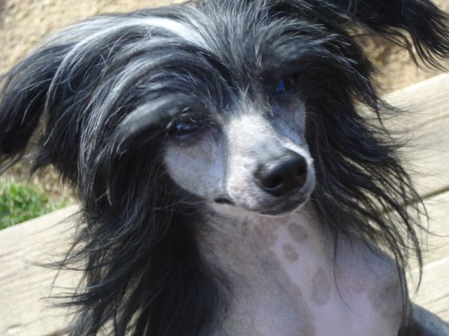 Spiritual I'd Sooner be a Cowboy