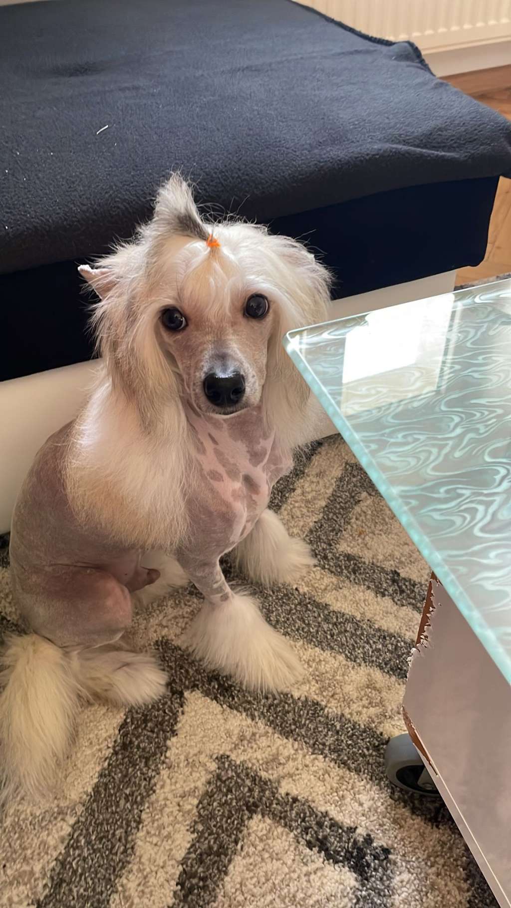 Dongmei Dag Sweet Dream River