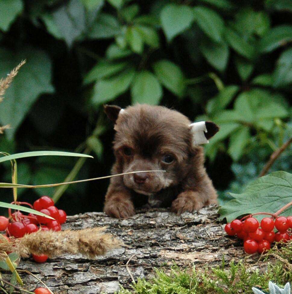Star Show Bon Ami Grand Winner Universe
