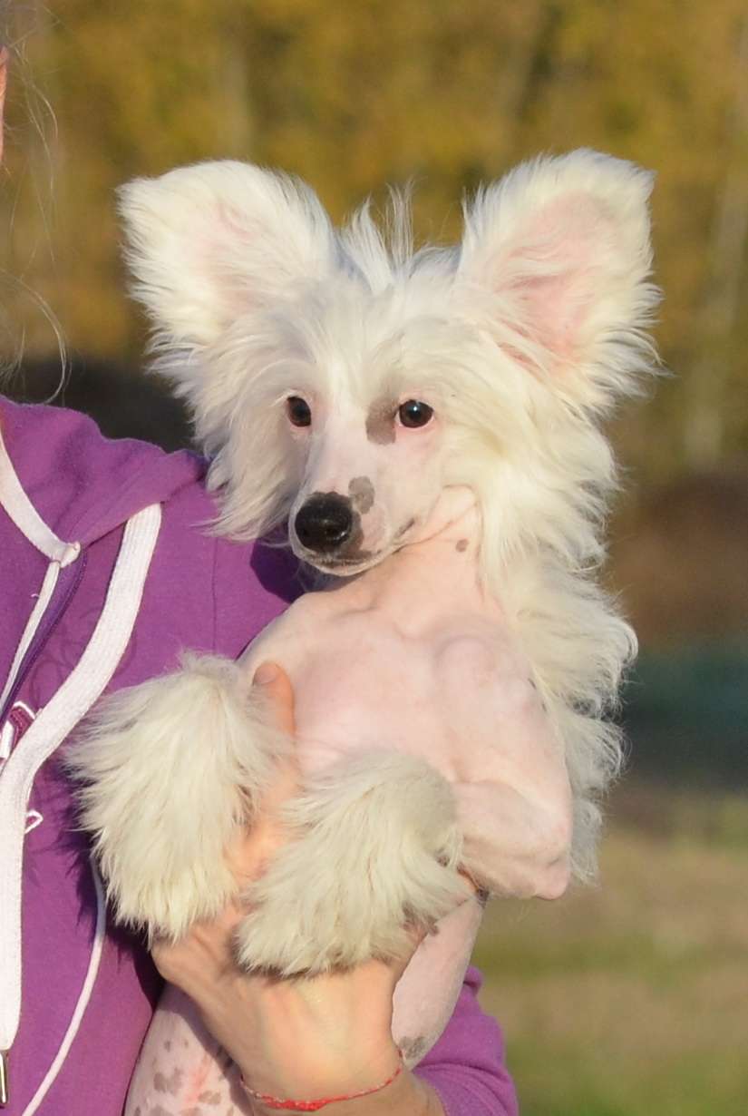 Yupiter Winning Smile