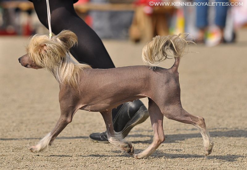 Kaa Won's Gambling The Night