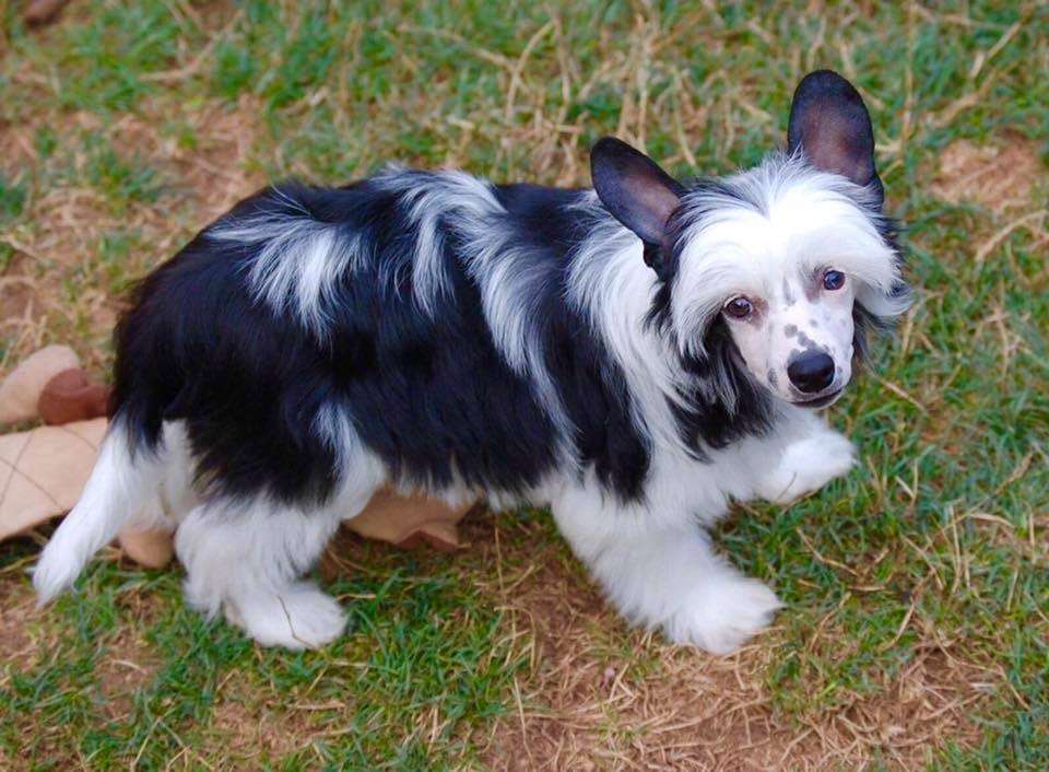 Energy Di Domino Effekt