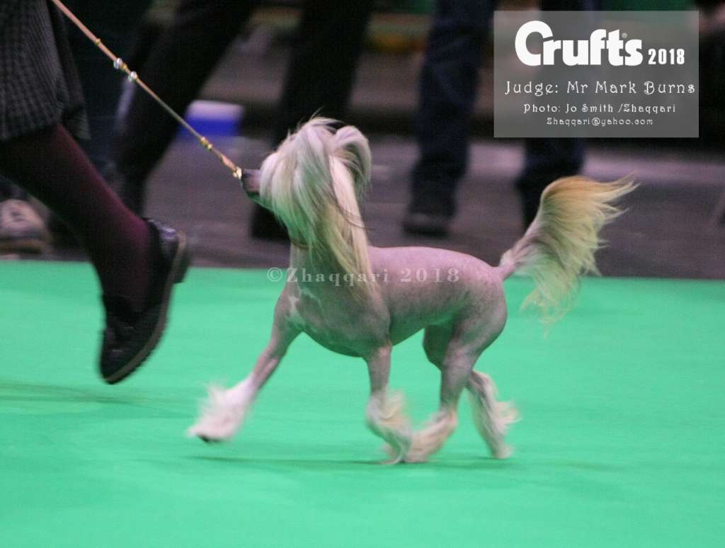 Myvallo Inclined To Dance at Elfallons