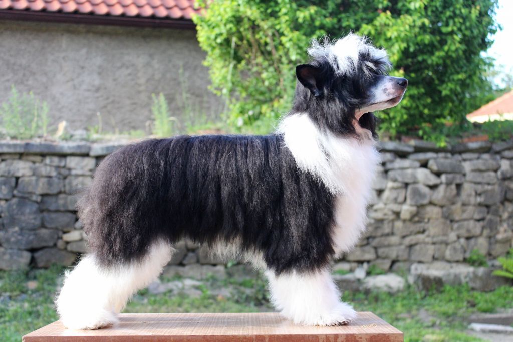 Because You Loved Me  Heybett