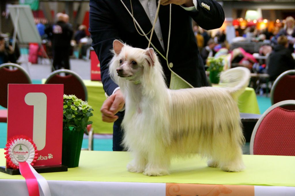 Multi. Ch. Selinas Edition Nazoura