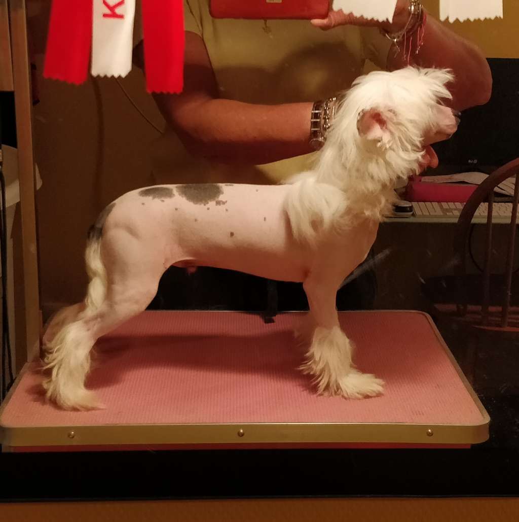 Jean Dark Sound of Silence