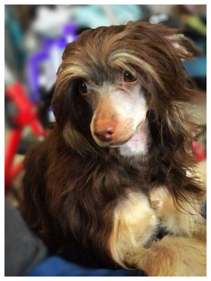 Raven's Vintage Keepsake Charm