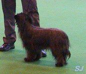 Blandora Beautifully Black