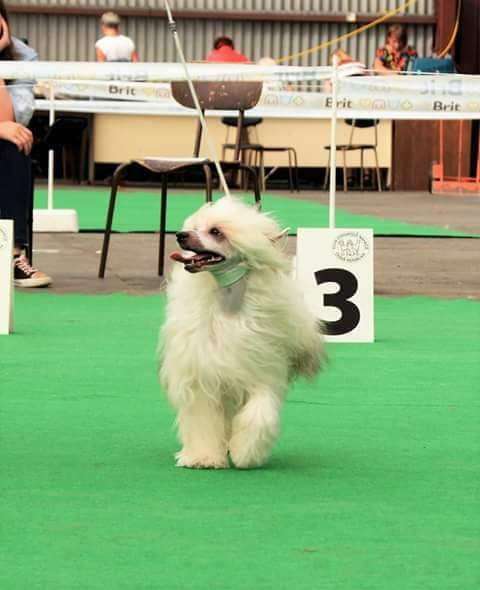 Iceland boy Ipsi Grand