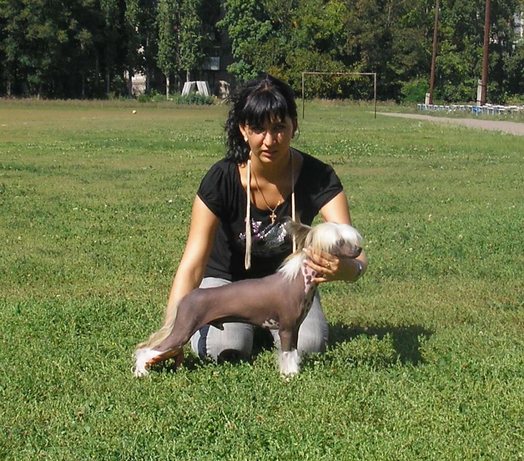 Shik Blesk Krasota ot Volnogo Psa