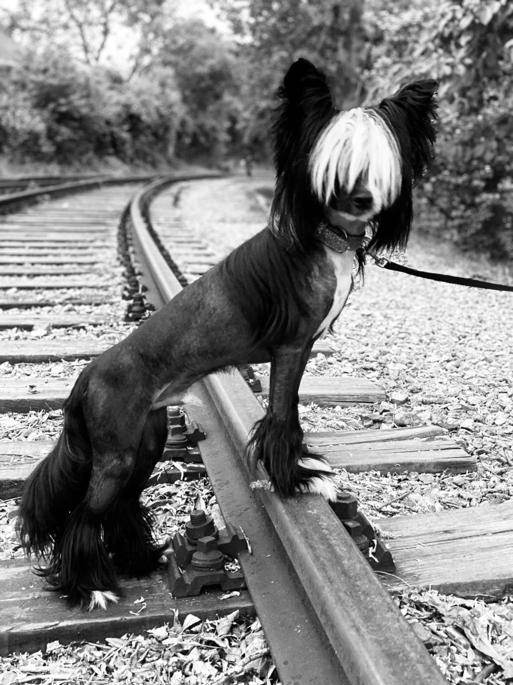 Giorgio Armani Olyuti Gattaca