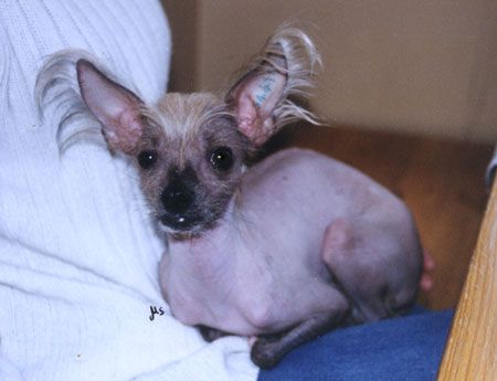 Ermi's Place Cheyenne