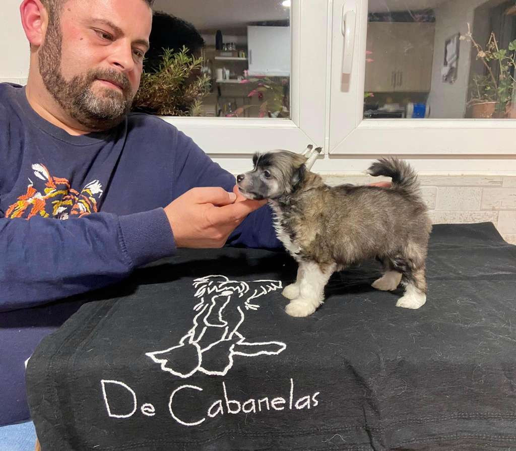 De Cabanelas Walt Disney