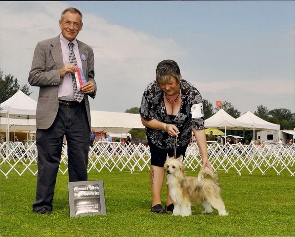 D'nude's Be True To You