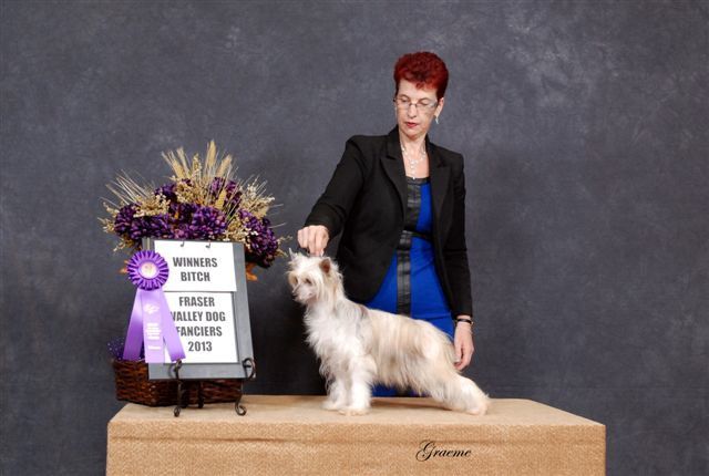 Whispering Lane Wheel Of Fortune