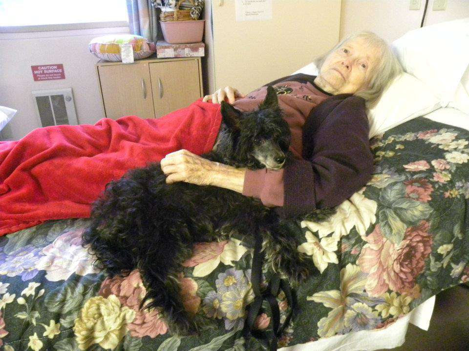 Batals Merlin of Castlecove