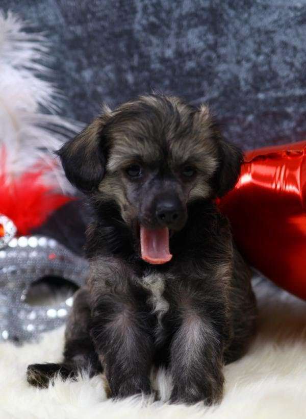 Easy going von Natelberg