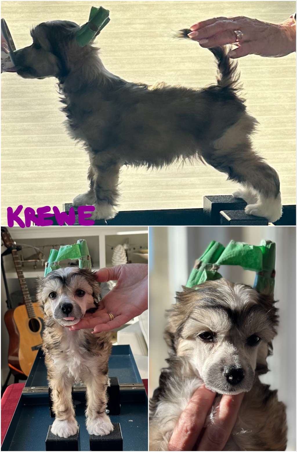 Hex N Wind Kissing The Krewes at Fascino