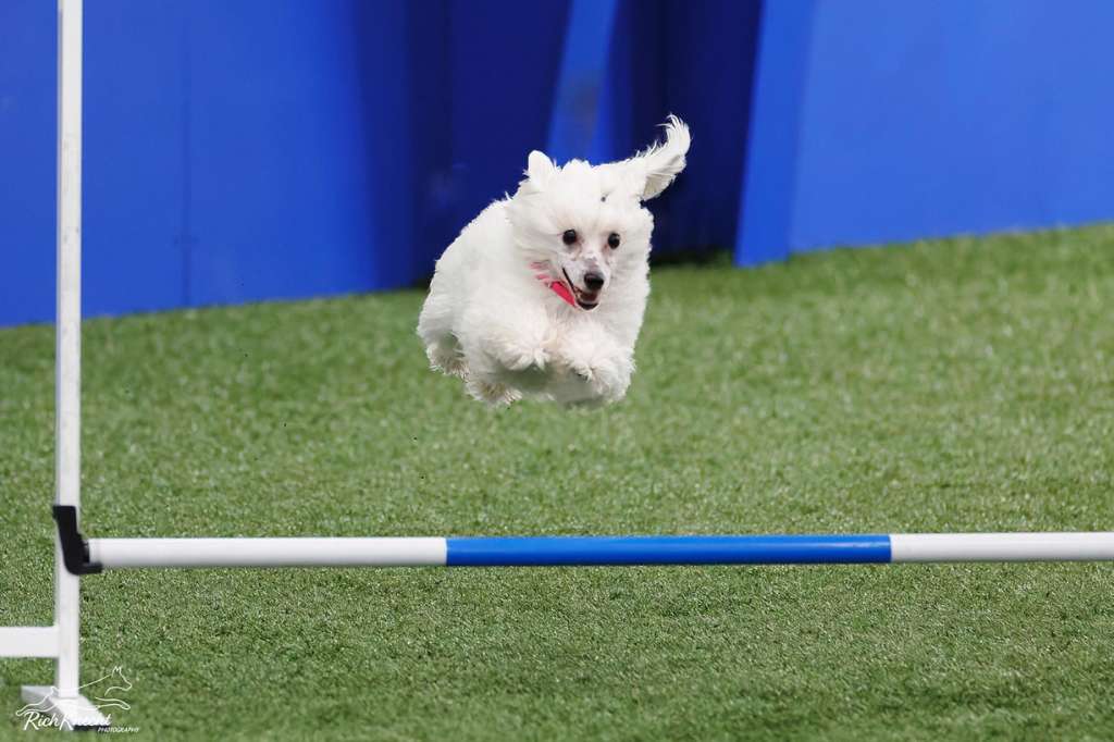 Kaylen Stillmeadow Im a MarshaMellow