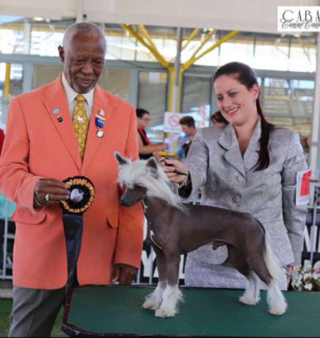 Mohawk Step Aside Boys