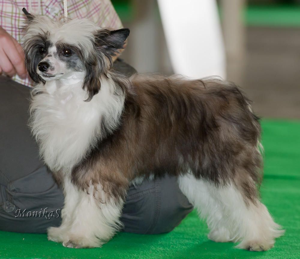 Bethanny Bay Runique