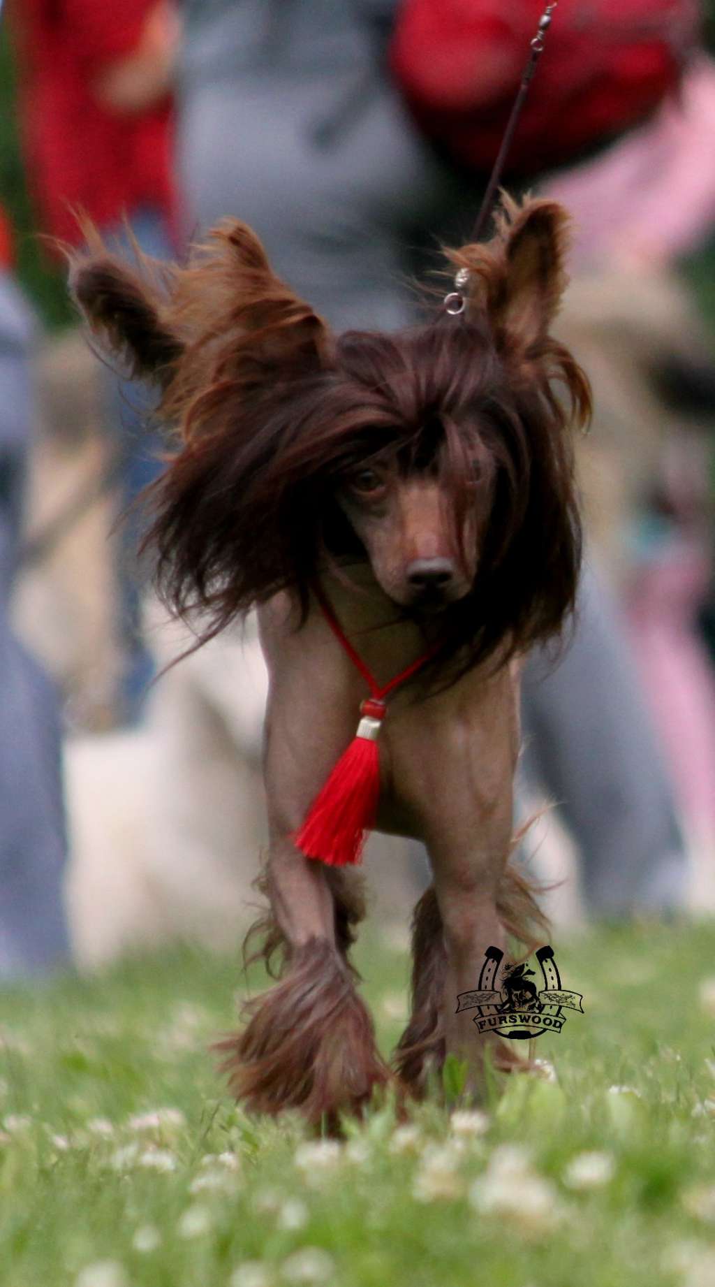 Miss Madmuazel Zhigan