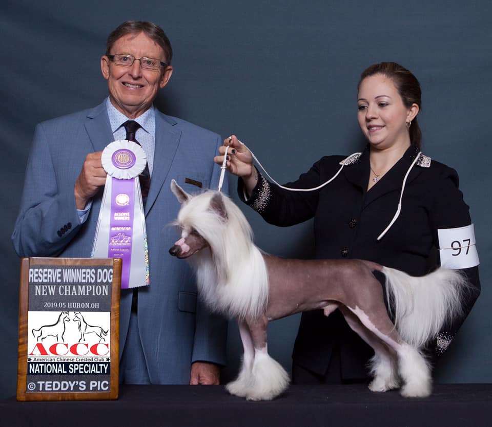 Gracieux-Pahlavi Whirling Dervish