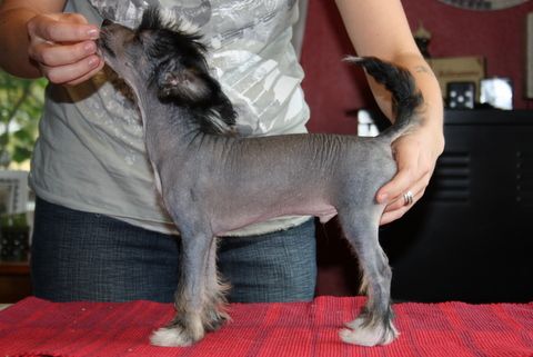 Kertalaakin Biljonääri