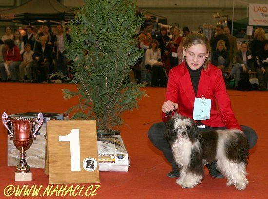 Born To Be Wild Fantasy Island