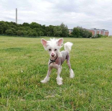 Yrar Eagle Has Landed