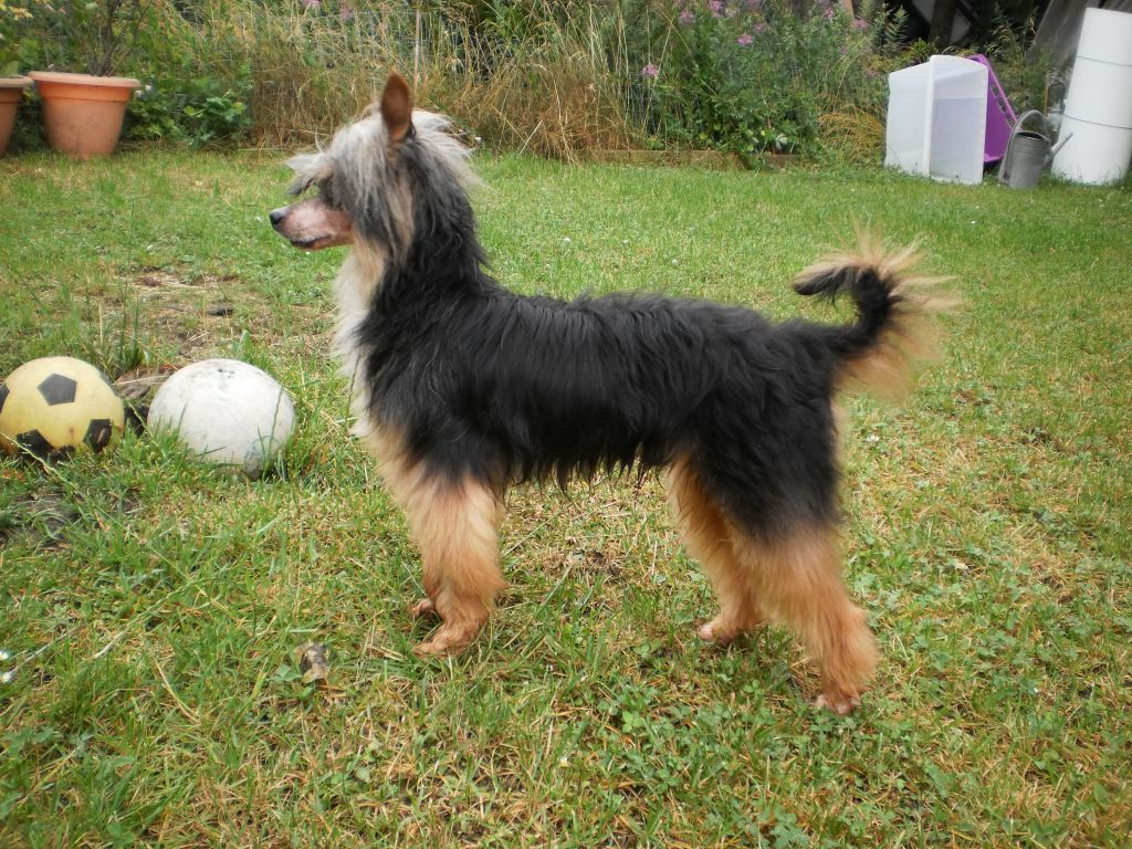 Exclusive Black Magic von Hellmundin