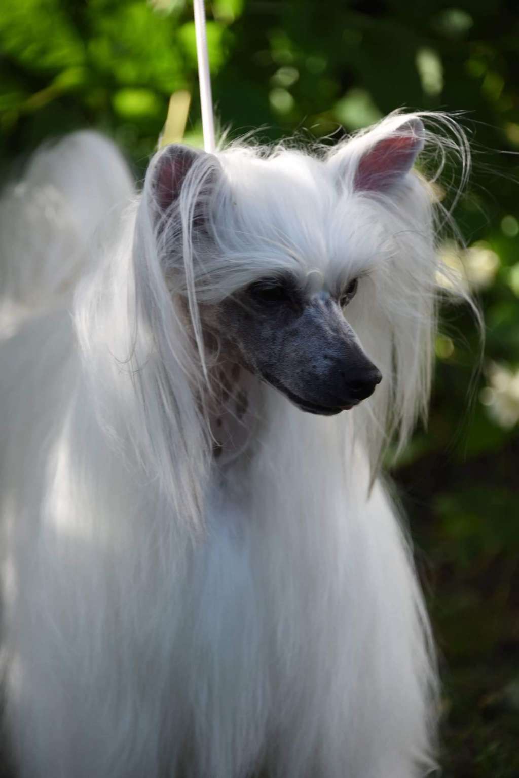 Miakoda's I Was Made For Lovin You